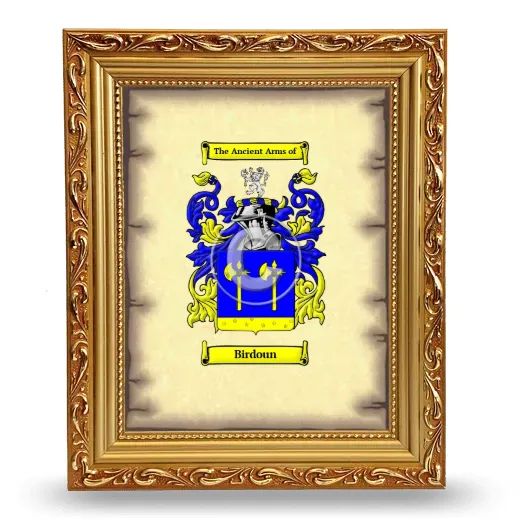 Birdoun Coat of Arms Framed - Gold
