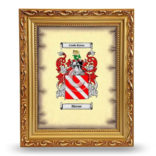 Birene Coat of Arms Framed - Gold
