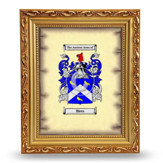 Bires Coat of Arms Framed - Gold