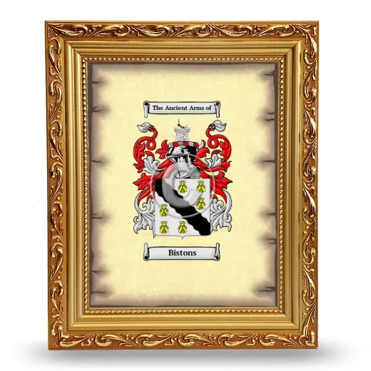 Bistons Coat of Arms Framed - Gold