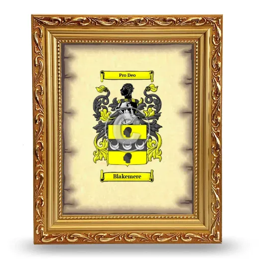 Blakemere Coat of Arms Framed - Gold