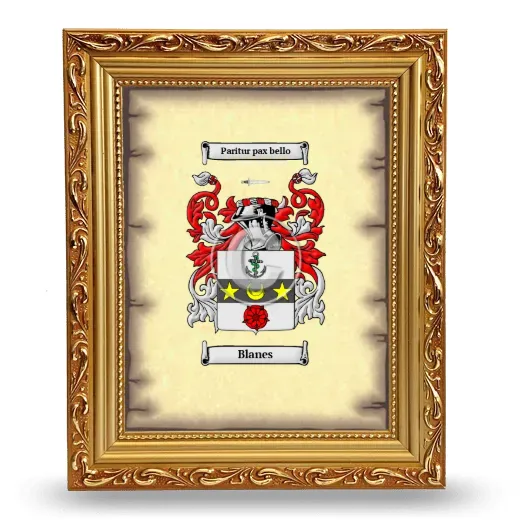 Blanes Coat of Arms Framed - Gold