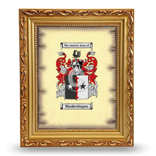 Blankenhagen Coat of Arms Framed - Gold