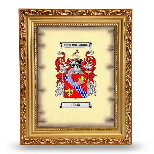 Blash Coat of Arms Framed - Gold