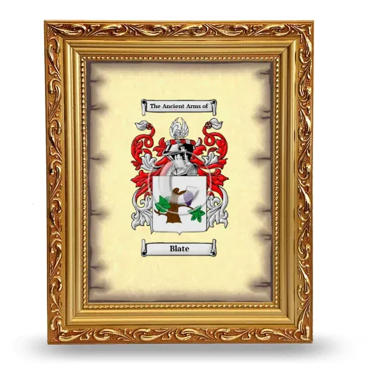 Blate Coat of Arms Framed - Gold