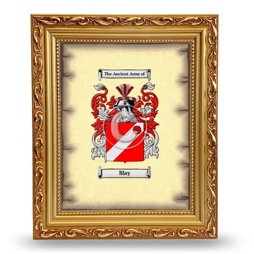 Blay Coat of Arms Framed - Gold