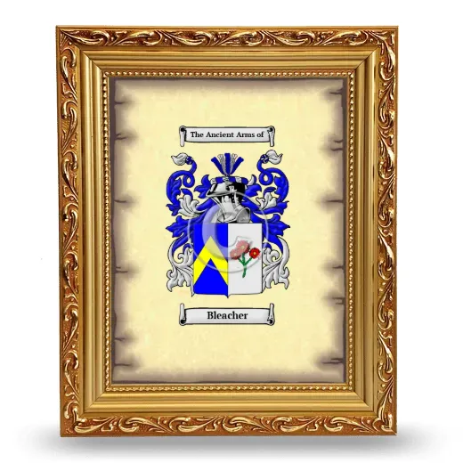 Bleacher Coat of Arms Framed - Gold