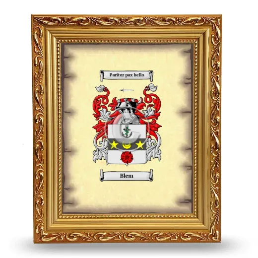 Blem Coat of Arms Framed - Gold