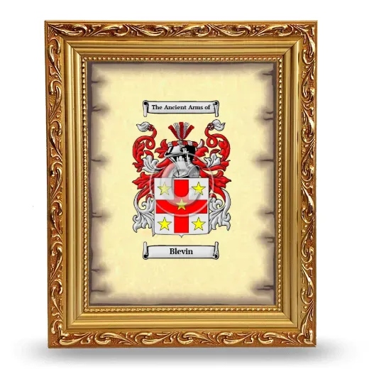 Blevin Coat of Arms Framed - Gold