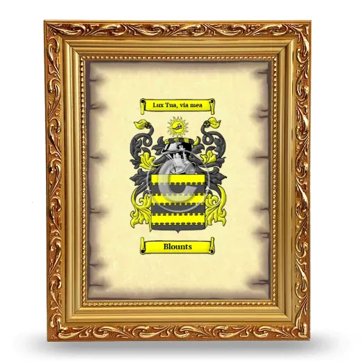 Blounts Coat of Arms Framed - Gold