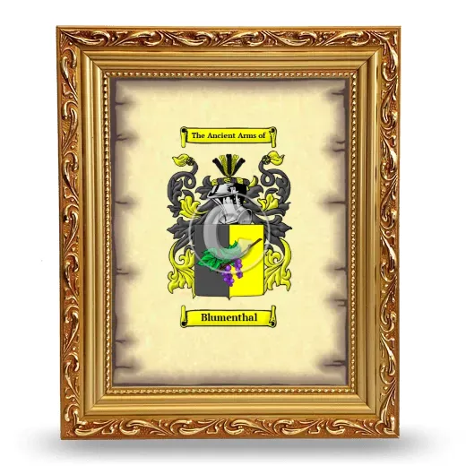Blumenthal Coat of Arms Framed - Gold