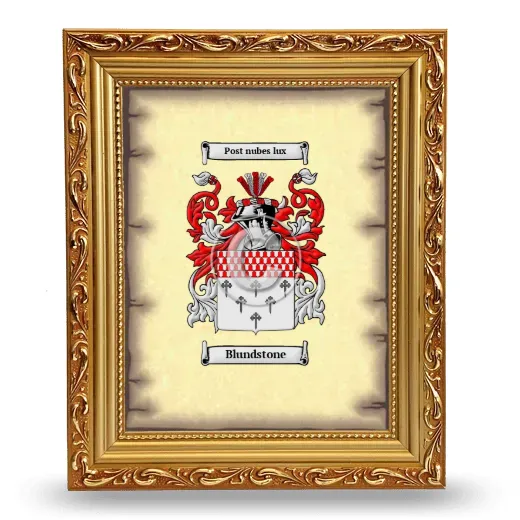 Blundstone Coat of Arms Framed - Gold