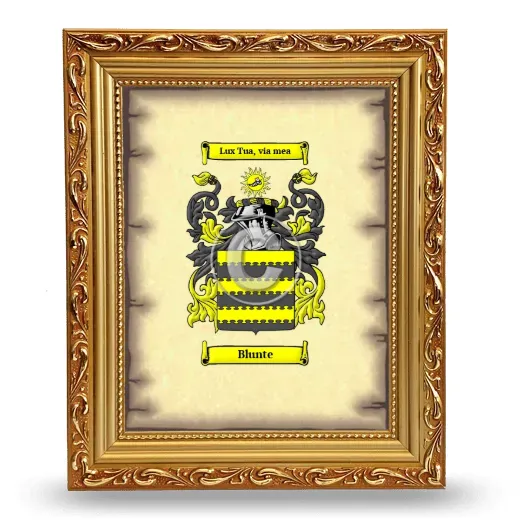 Blunte Coat of Arms Framed - Gold