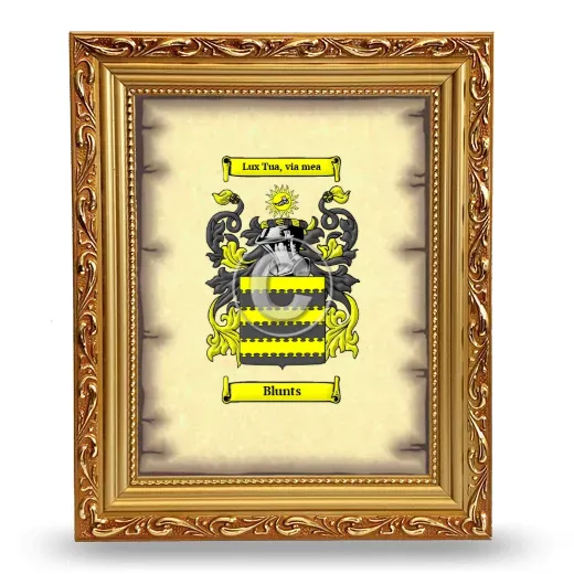 Blunts Coat of Arms Framed - Gold