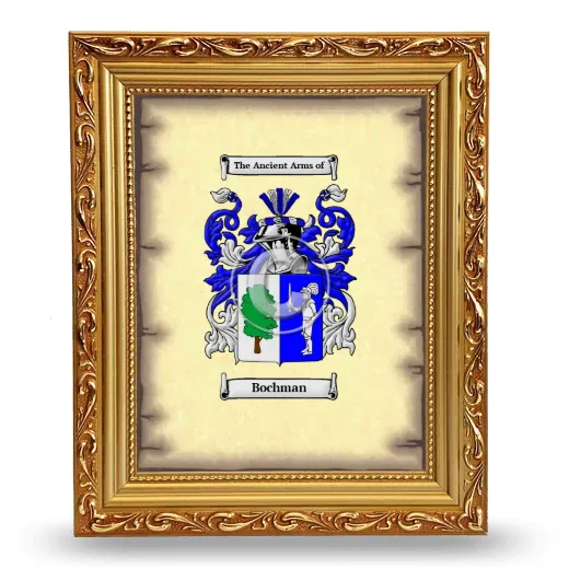 Bochman Coat of Arms Framed - Gold
