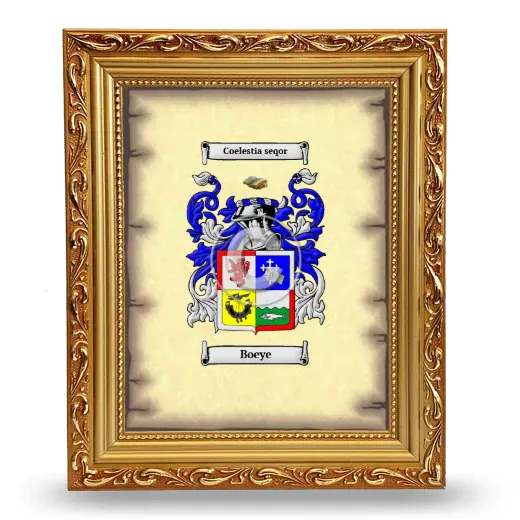 Boeye Coat of Arms Framed - Gold