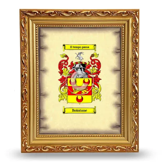 Bointane Coat of Arms Framed - Gold