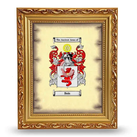 Bois Coat of Arms Framed - Gold