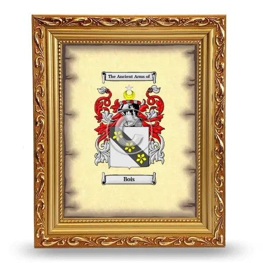 Bois Coat of Arms Framed - Gold