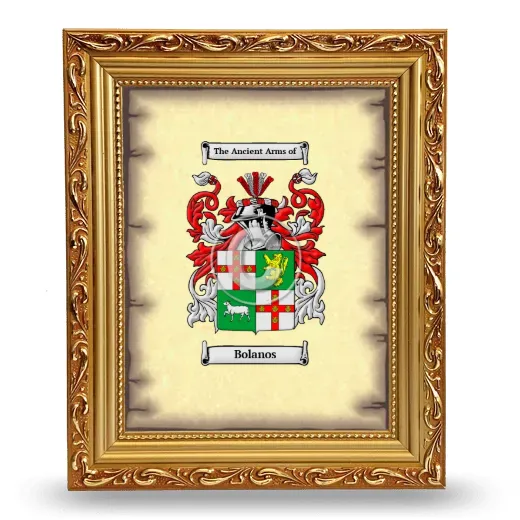 Bolanos Coat of Arms Framed - Gold