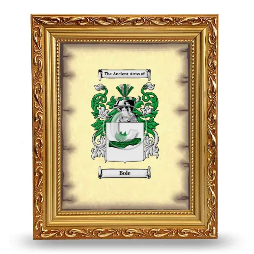 Bole Coat of Arms Framed - Gold