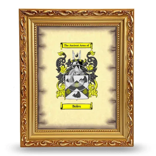 Boles Coat of Arms Framed - Gold