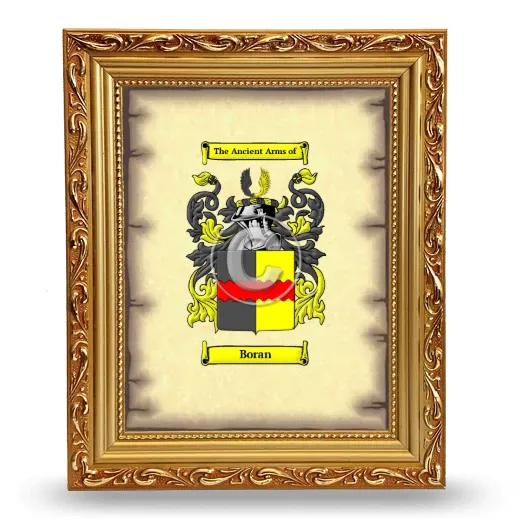 Boran Coat of Arms Framed - Gold