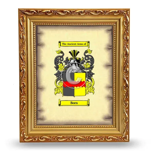 Born Coat of Arms Framed - Gold