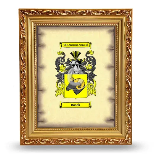 Bosek Coat of Arms Framed - Gold