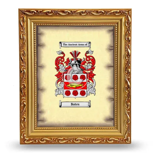 Botes Coat of Arms Framed - Gold