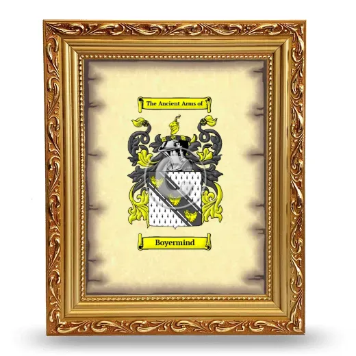 Boyermind Coat of Arms Framed - Gold