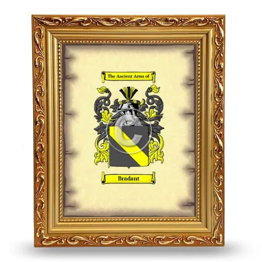 Bradant Coat of Arms Framed - Gold