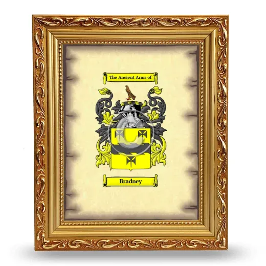 Bradney Coat of Arms Framed - Gold
