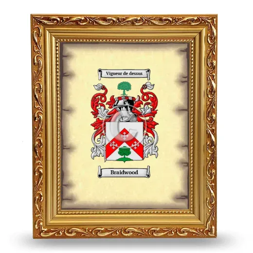 Braidwood Coat of Arms Framed - Gold