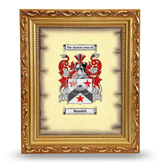 Branich Coat of Arms Framed - Gold