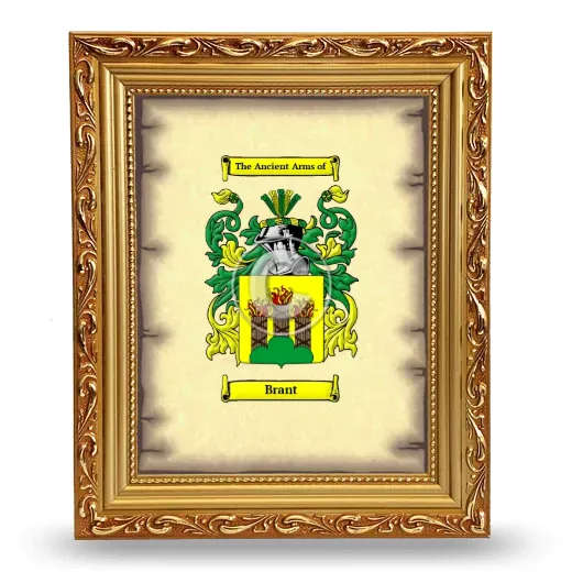 Brant Coat of Arms Framed - Gold