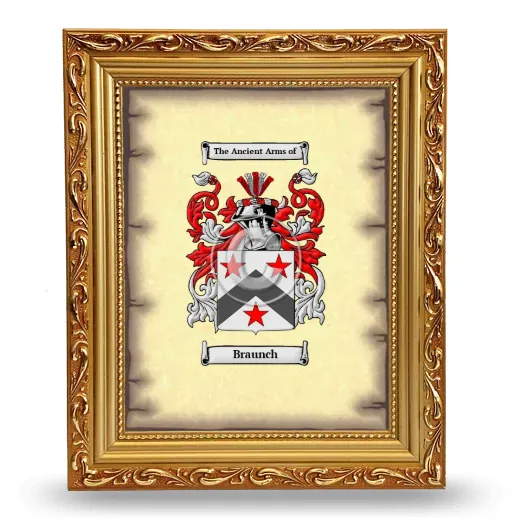 Braunch Coat of Arms Framed - Gold