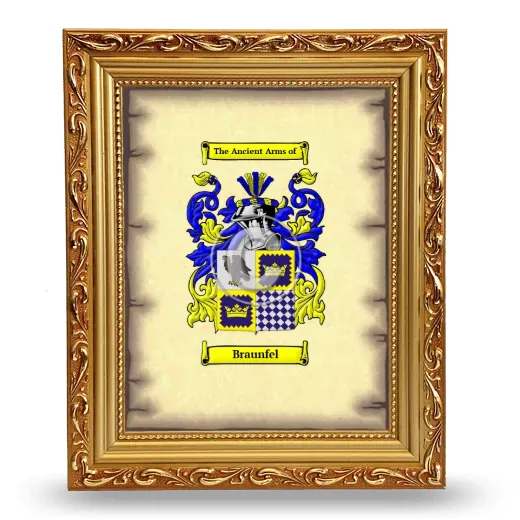 Braunfel Coat of Arms Framed - Gold