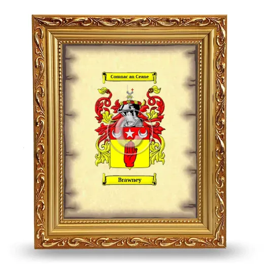 Brawney Coat of Arms Framed - Gold