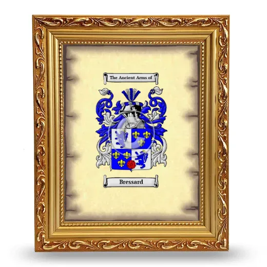 Bressard Coat of Arms Framed - Gold