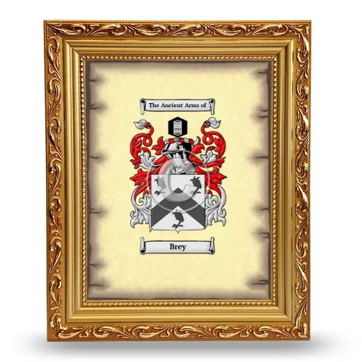 Brey Coat of Arms Framed - Gold