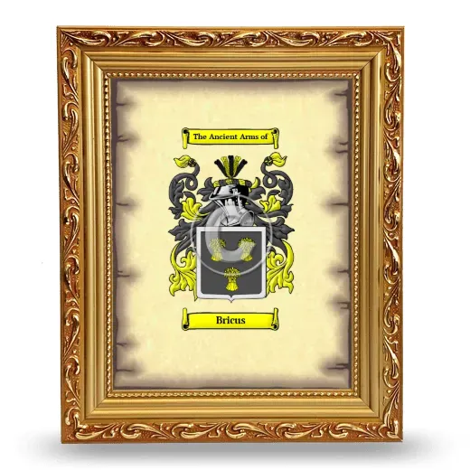 Bricus Coat of Arms Framed - Gold