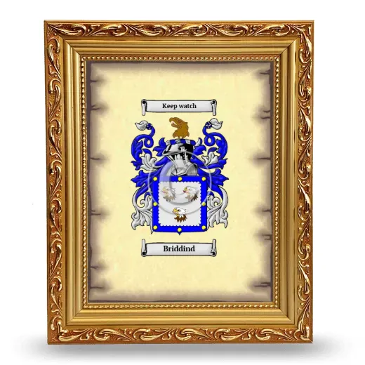 Briddind Coat of Arms Framed - Gold