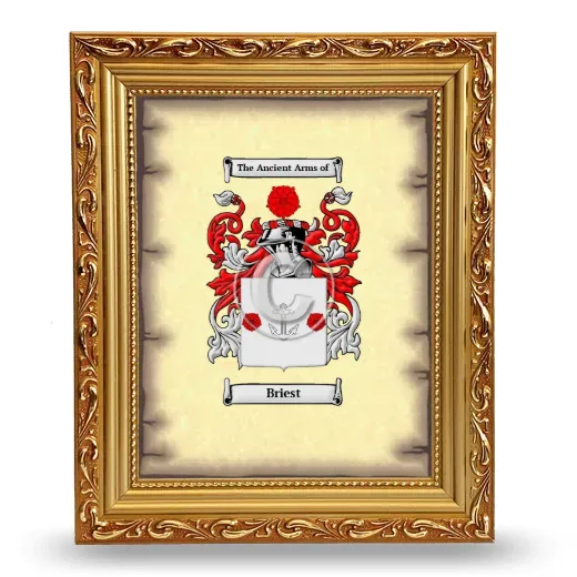 Briest Coat of Arms Framed - Gold