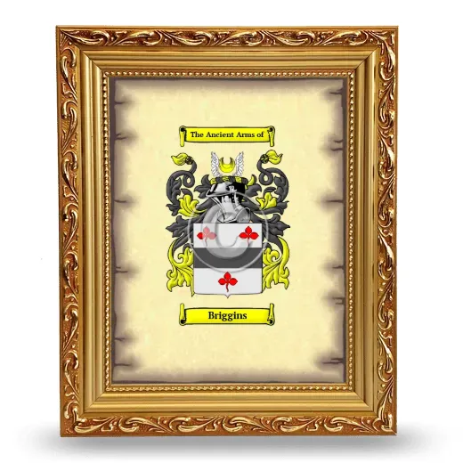 Briggins Coat of Arms Framed - Gold
