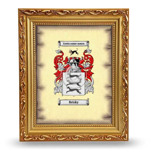 Brisky Coat of Arms Framed - Gold
