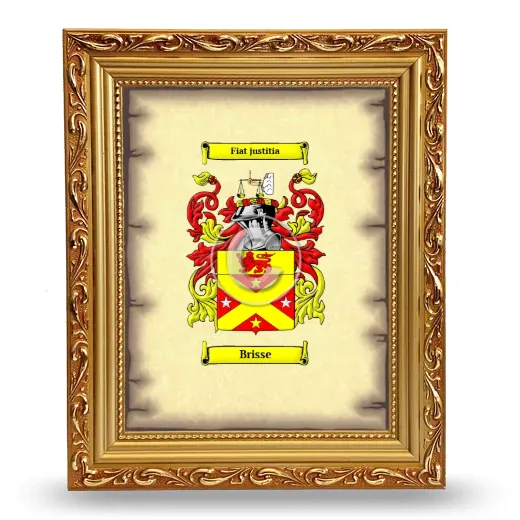 Brisse Coat of Arms Framed - Gold