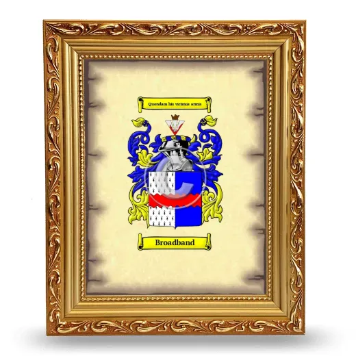 Broadband Coat of Arms Framed - Gold