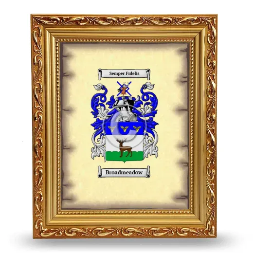 Broadmeadow Coat of Arms Framed - Gold