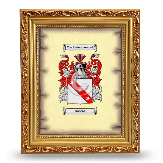 Brocas Coat of Arms Framed - Gold